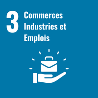 3. Commerces, industries et emplois